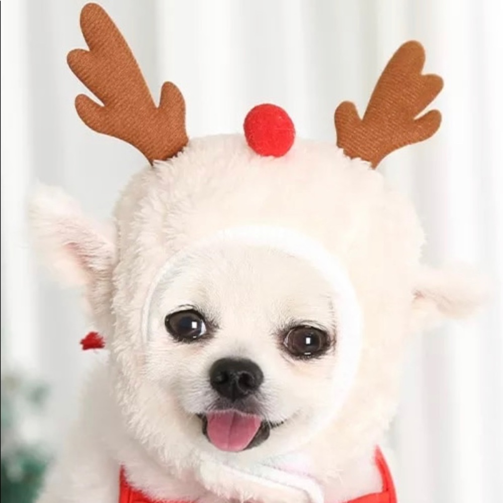Christmas Reindeer hat for small or large dogs or cats